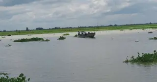 ফরিদপুরে পদ্মায় আরও এক অর্ধগলিত মরদেহ উদ্ধার